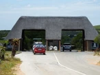 2 nuwe leeumannetjies pas goed aan in Addo-olifantpark