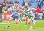 Leinster wag; Bulle het geleer wen – Jake