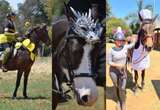 SEE | Cuteness galore: Costume-clad ponies and their enthusiastic owners champion a good cause