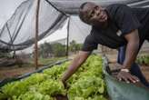 'We can see the desperation': High levels of food poverty in Western Cape municipalities