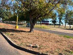 Upington: Inwoners mag nie verfraai, ‘want dit laat munisipaliteit sleg lyk’