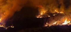 Beheerde, ekologiese brand in Tsitsikamma suksesvol afgehandel