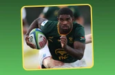 Ackers: Rassie-hulle sal Junior Bok-ster Cheswill geniet