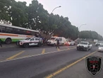 Busbestuurder sterf toe hy in boom langs Brackenfell-rylaan vasry