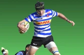 Leinster, Munster maak jag op skole-ster, maar hy wil in SA bly