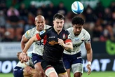 All Black-nuweling moet vinnig skarrel nadat hond paspoort opvreet
