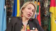 SA proactive on Palestine but not on Ukraine, says Ukrainian ambassador