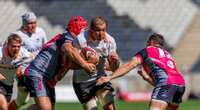 Frans swaai Cheetahs lof toe vir lotsbepalende sege