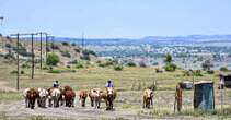 Inkrimping in landbou ‘was te wagte weens droogte, lae pryse’