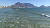 Cape Town scientists claim they're being bullied into retracting seawater quality study