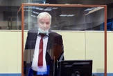 'Butcher of Bosnia' Mladic faces final genocide verdict