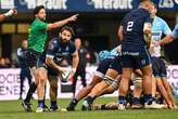 Bok-ster Reinach terug vir Montpellier