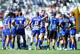 Champions Cup: Stormers, Sharks stay in scrap for SA 'crumbs'