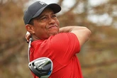 Tiger makes a digital comeback in golf video game deal