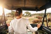 Uber safari: E-hailing app now offering Cape Town visitors a one-day game drive