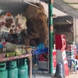 Olifant met ’n suikertand doen inkopies: Dis Biang Lek(ker)