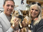 Protea-krieketspeler help honde in nood op Mandeladag