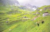 Grossglockner-pas in die Alpe is ’n 48-kilometer-lange ingenieursmeesterstuk