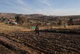 In dry Lesotho, hunger stalks family farmers