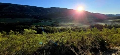 Om hoop te kry in hierdie land, een tree op ’n slag, vir 277 km