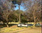 Skietery op R59 eis lewe en ruk verkeer in Alberton tot stilstand