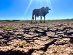 Mangaung steier onder waterkrisis te midde van hittegolf