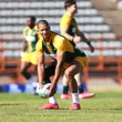 Bokke sal Wallaby-oplewing in kiem wil smoor