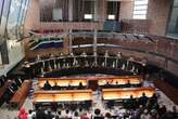 Constitutional Court dismisses application for leave to appeal Zimbabwe permit decision