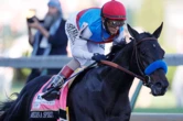 Kentucky Derby winner Medina Spirit tests positive for banned substance