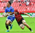 Davids maak debuut vir Leeus in stryd teen Haaie
