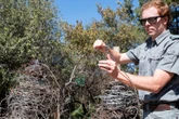 Aaklige dood: Dinokeng-bewaarders veg teen stropers se strikke