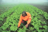 John Steenhuisen | If you care about SA, join us in fighting Expropriation Without Compensation