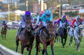 ‘Aggressiewe boytjie’ wen Durban July-perdewedren