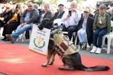 Herdenkingsdiens gehou vir gevalle SAW-soldate: ‘Ons sal onthou’