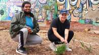 Turning Cape Town's vacant land into indigenous gardens