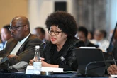 Premier ‘diep bekommerd’ oor toestand van Vrystaatse munisipaliteite