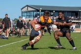 Manjifieke Muller ploeg met Boland Landbou op die Plaas