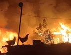 Nóg huise brand af in 2de brand binne ’n week in Plet