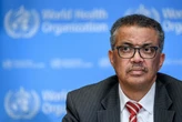 WHO chief Tedros plans to seek second term: report