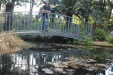 Tukkie-tuin bring kuns én natuurbewaring op die voorgrond