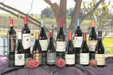 Shiraz: Jordan-wynlandgoed verower gesogte trofee