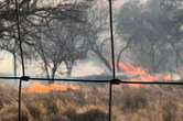 Raging fires burn more than half the grazing land at Eastern Cape game reserve