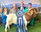 Case, seun van John Deere, is 2025 se wêreldkampioen-boerbokram