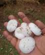 Stormweer wyk tot Sondag in noorde, KZN