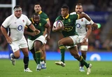 Eddie Jones sê Bok-blits sal 100 m-naelloop tussen skrummies ‘met 5 m wen’