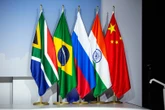 Gekoukus tussen Brics gaan nou niks help – Roelof Botha
