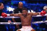 'What a roller-coaster journey': Joshua says boxing career 'far from over' after Dubois defeat