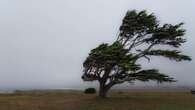 Thursday weather: Damaging winds, severe thunderstorms expected across the country