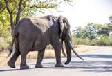 New proposal puts Kruger National Park's environmental safeguards 'at risk'