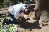 Regstappe kom teen Mosselbaai-munisipaliteit oor diere in park